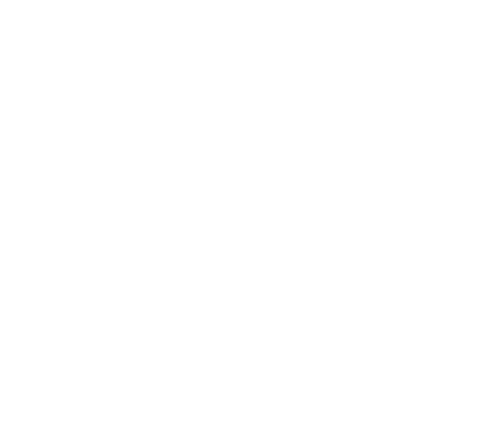 Decorative lotus mandala